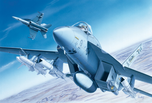 0083  авиация  F/A-18E  SUPER HORNET (1:72)