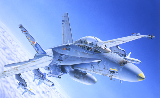 0016  авиация  F/A-18C/D WILD WEASEL (1:72)